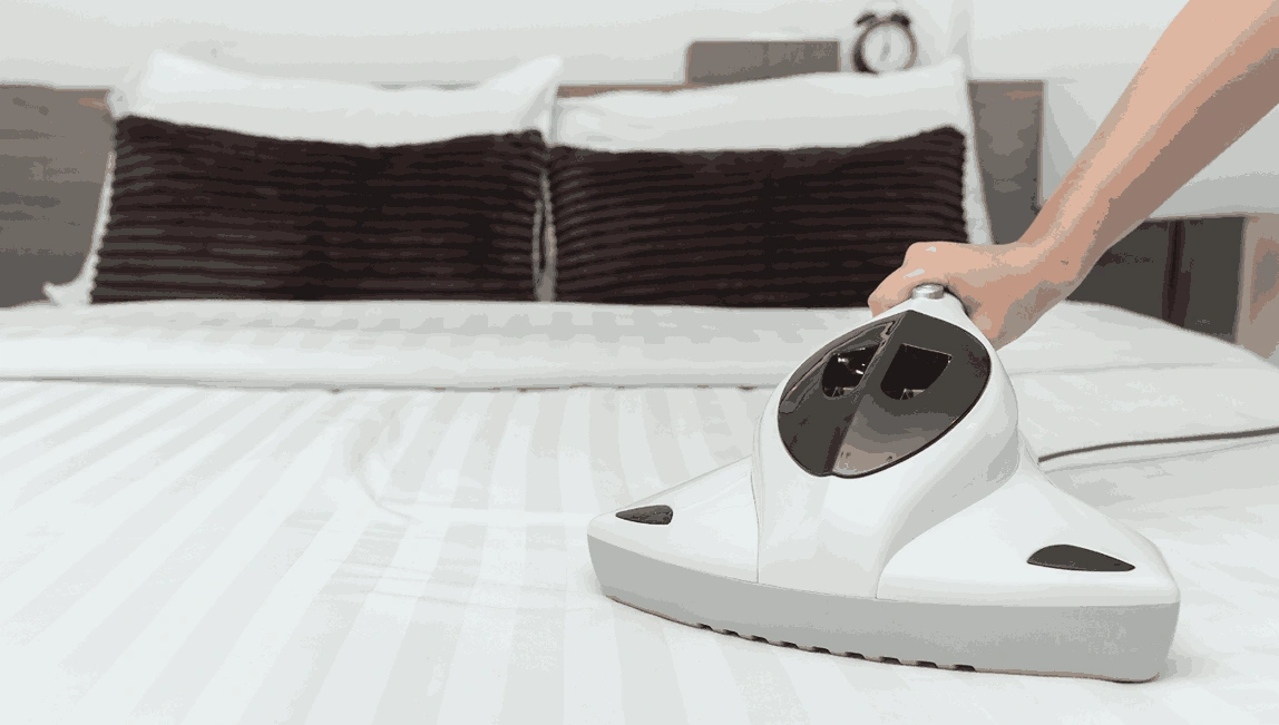 Professional Mattress Cleaning Mordialloc
